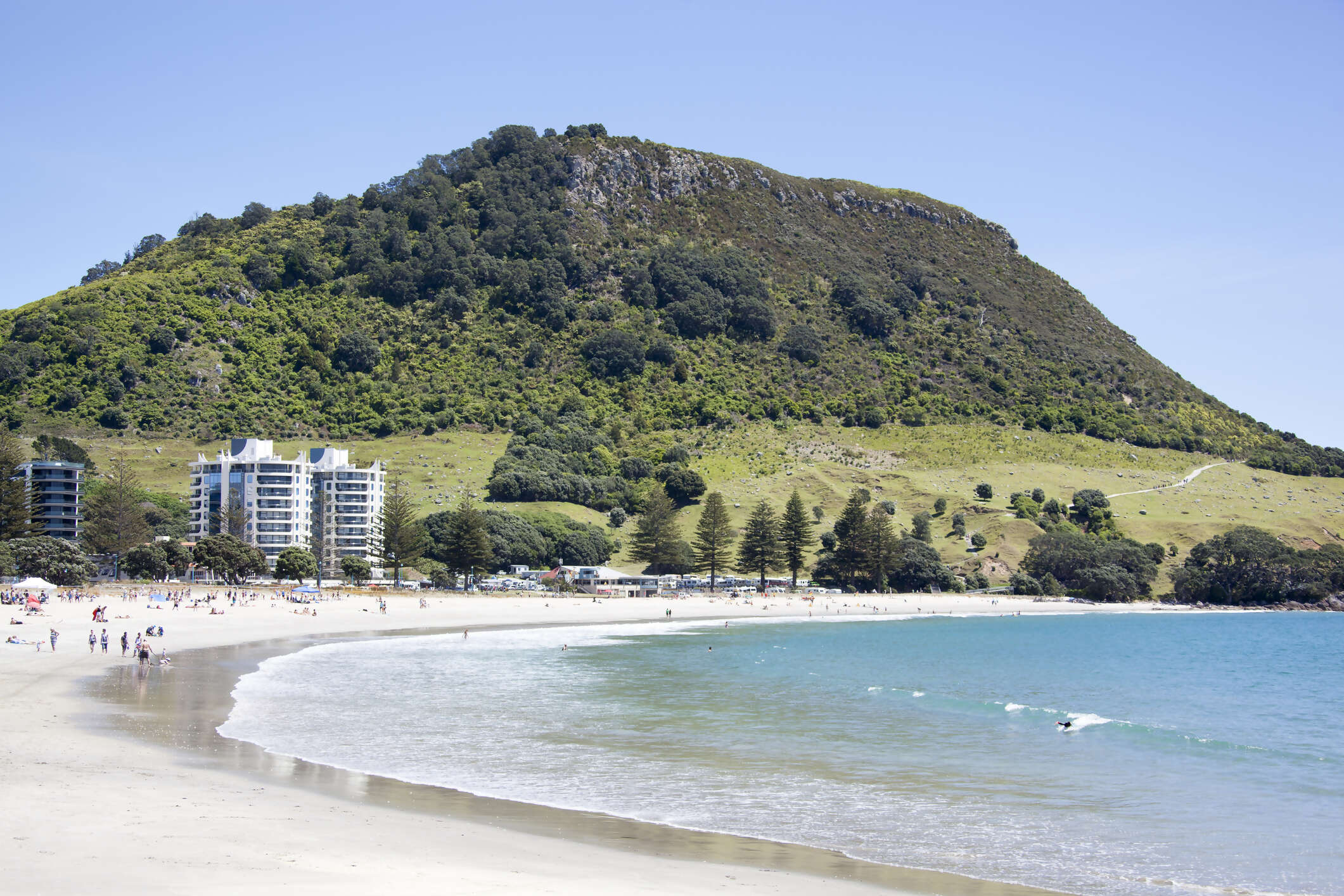 Tauranga