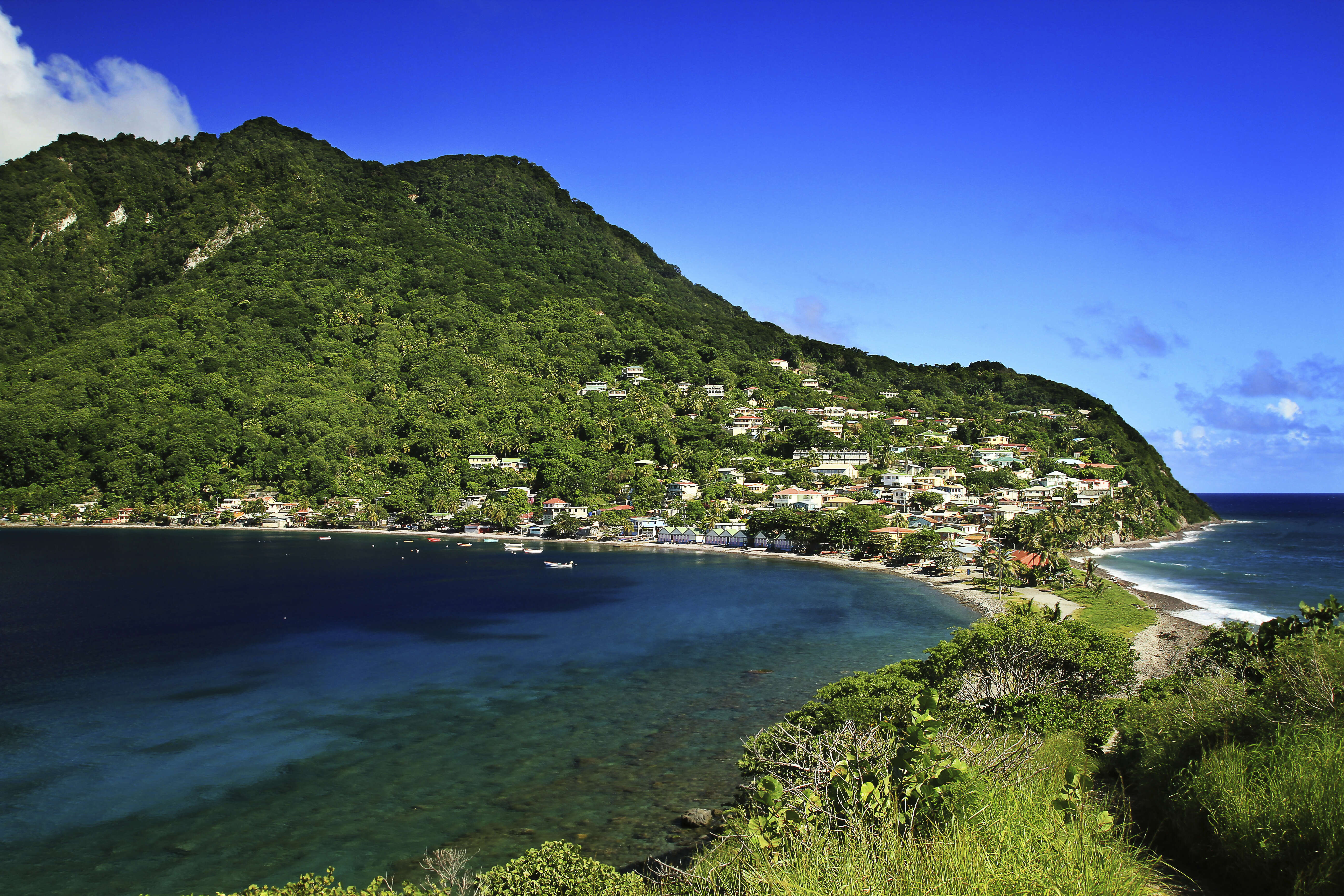 Dominica